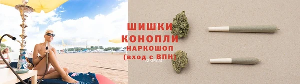 стаф Магадан