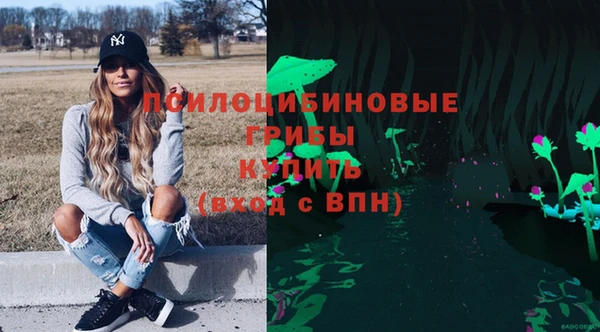 стаф Магадан