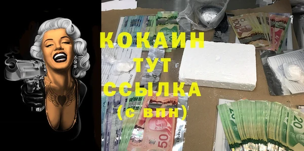 винт Магас
