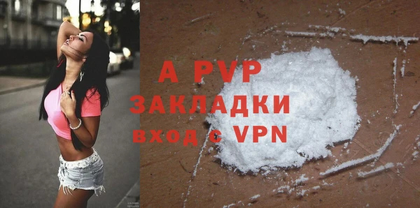 стаф Магадан
