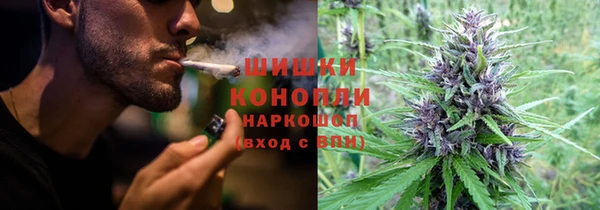 стаф Магадан
