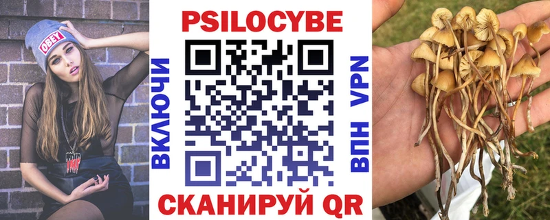 Купить где  Верещагино  Галлюциногенные грибы Magic Shrooms 